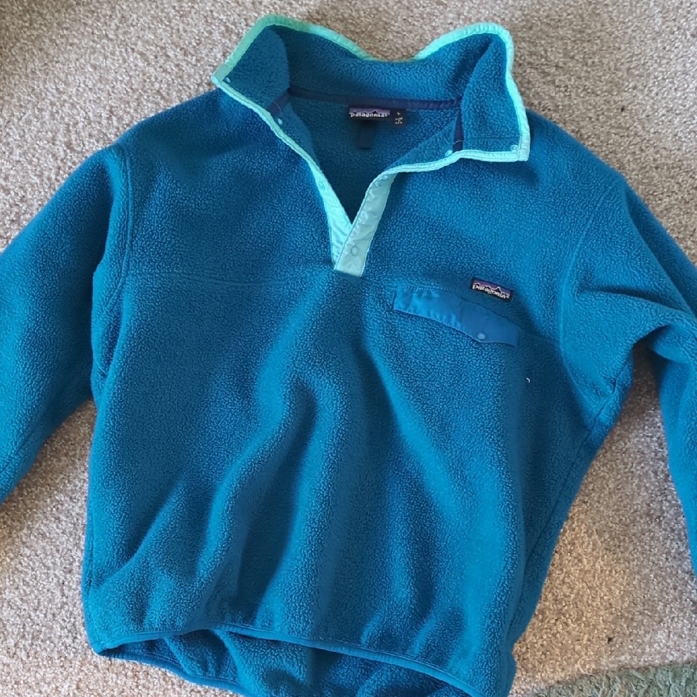 Patagonia Blue Fleece Pullover